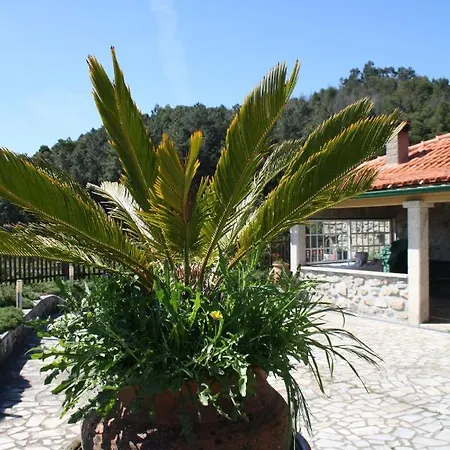 Pinheiro 度假居 阿尔库什迪瓦尔德维什
